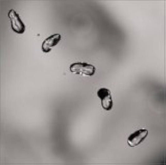Peter Gabriel. Up — CD nacional en buen estado 💿 tienda de discso en méxico formato muerto