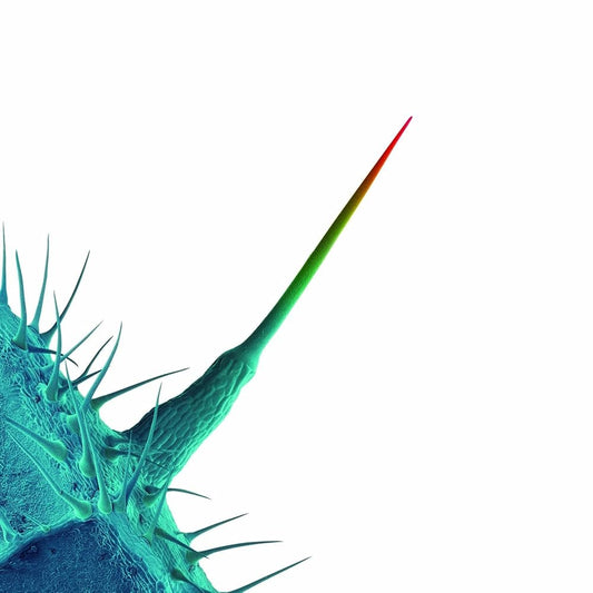 Peter Gabriel – And I'll Scratch Yours (CD en excelente estado).