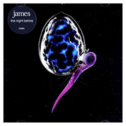 JAMES – The Night Before. Cd excelente estado.