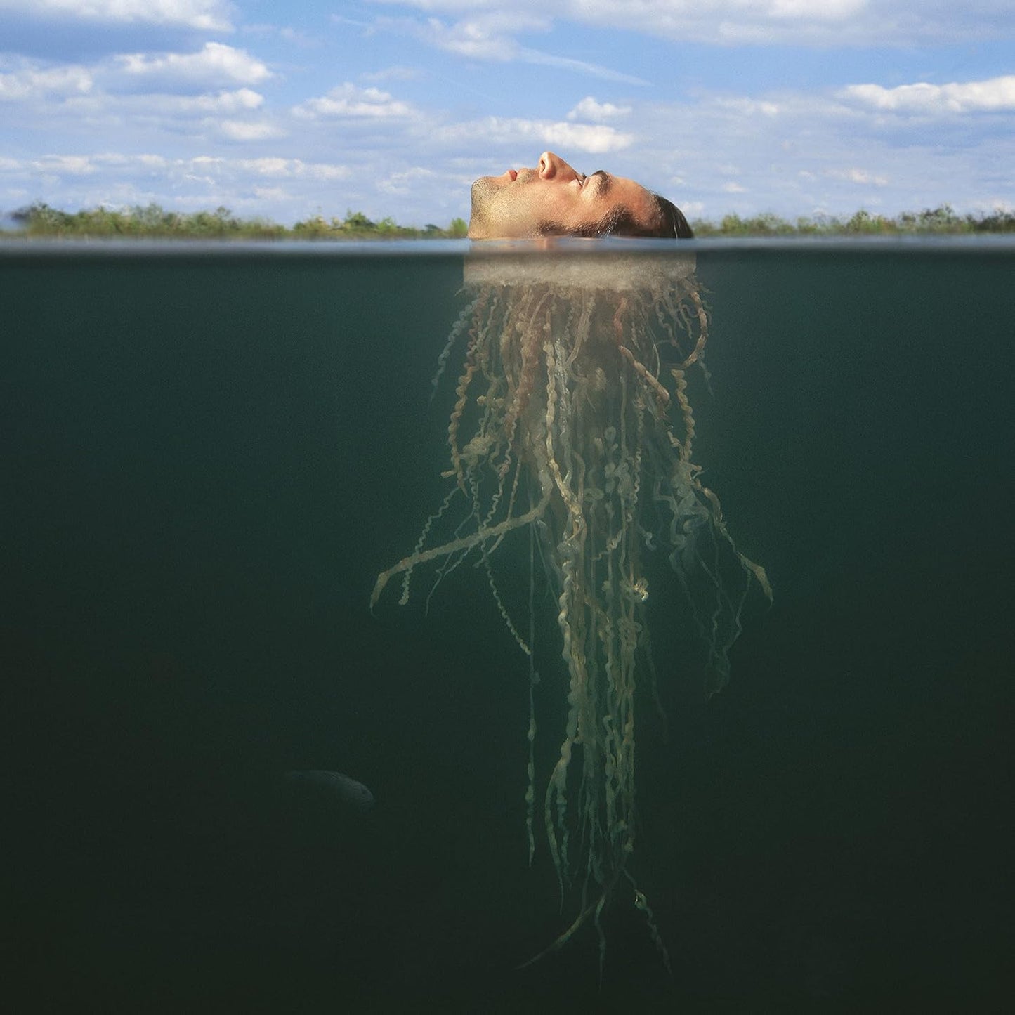 De-Loused In The Comatorium (Gold & Dark Green Vinilo doble nuevo). The Mars Volta. tienda de discos en méxico formato muerto