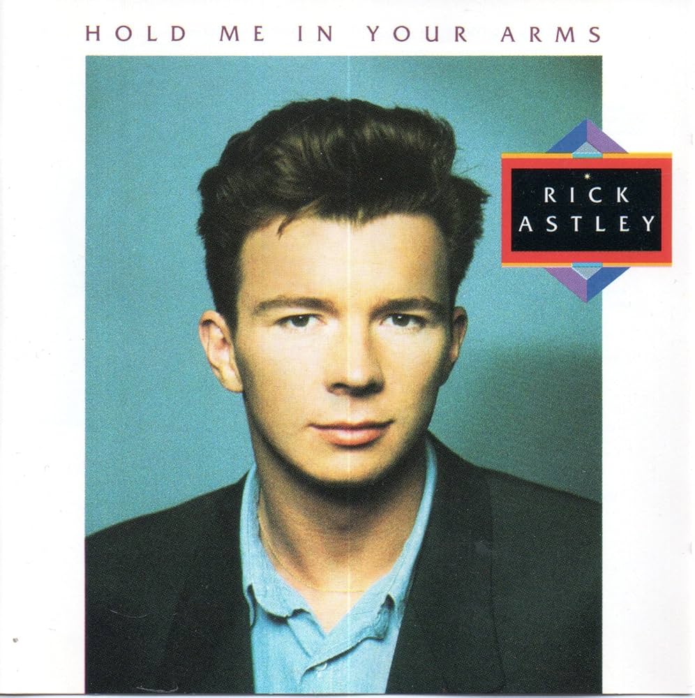 Hold Me in Your Arms. Rick Astley. Cd en buen estado. formato muerto