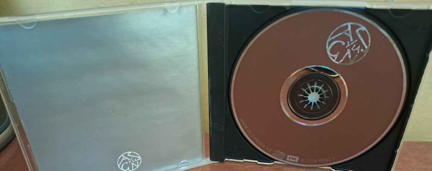 💿✨ Aleks Syntek – Más Fuerte de lo que Pensaba. Cd.