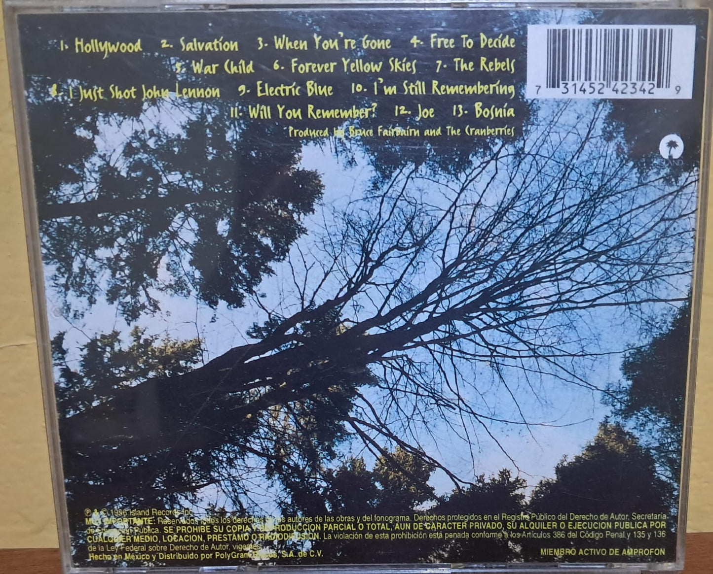 The Cranberries – To the Faithful Departed formato muerto