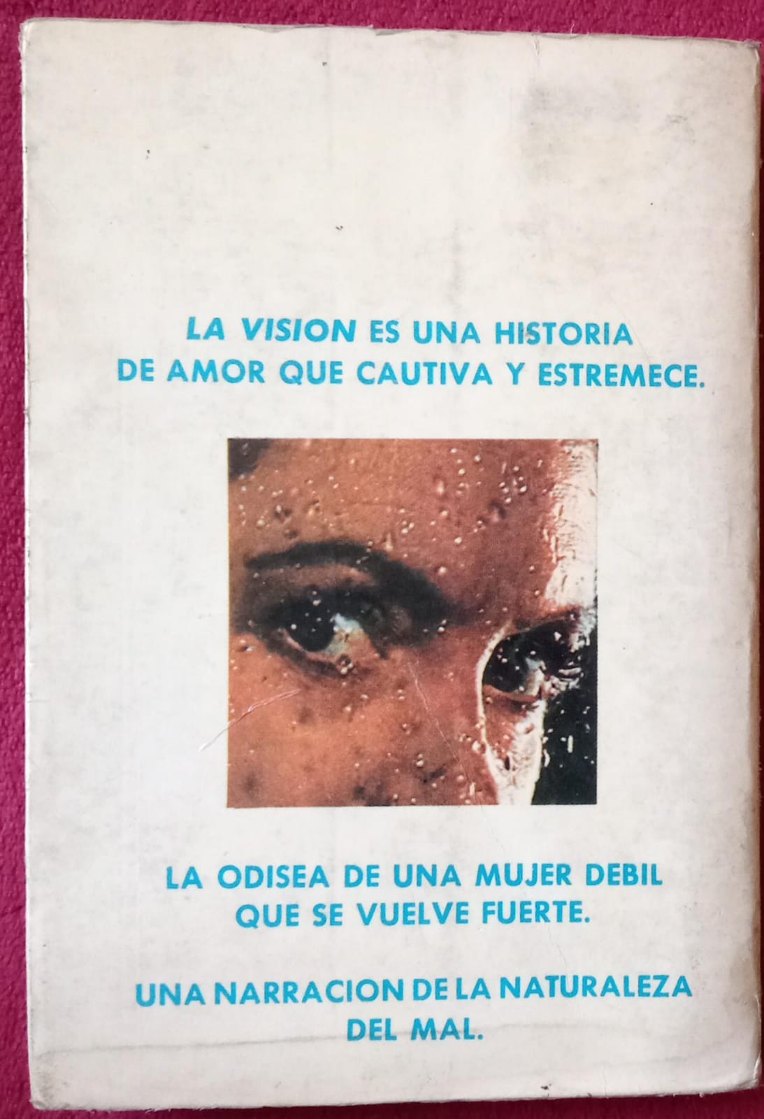 La visión. Dean R. Koontz. Libro.