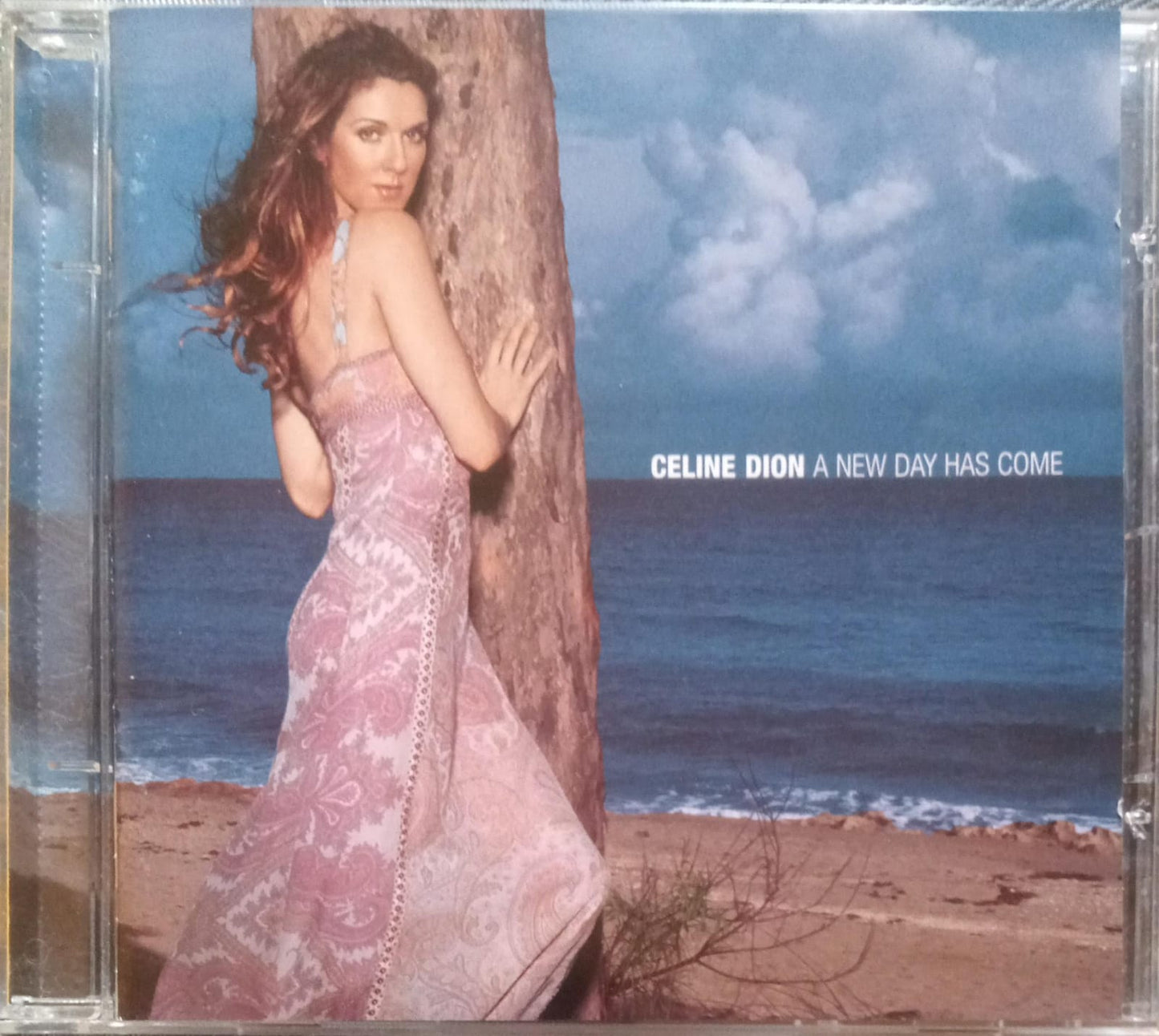 Celine Dion – A New Day Has Come. Cd buen estado.