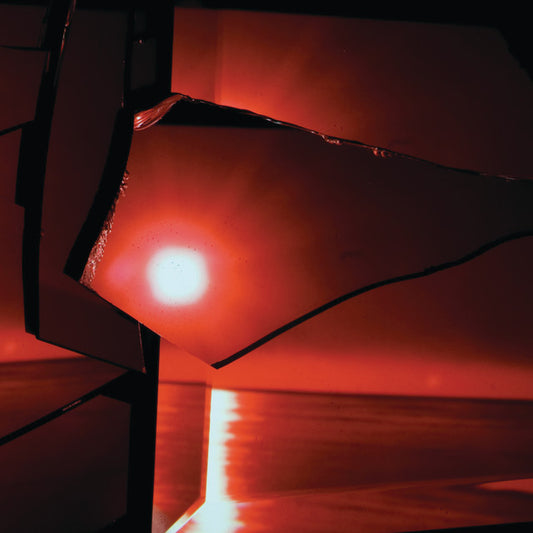TV on the Radio – Nine Types of Light (CD en excelente estado).