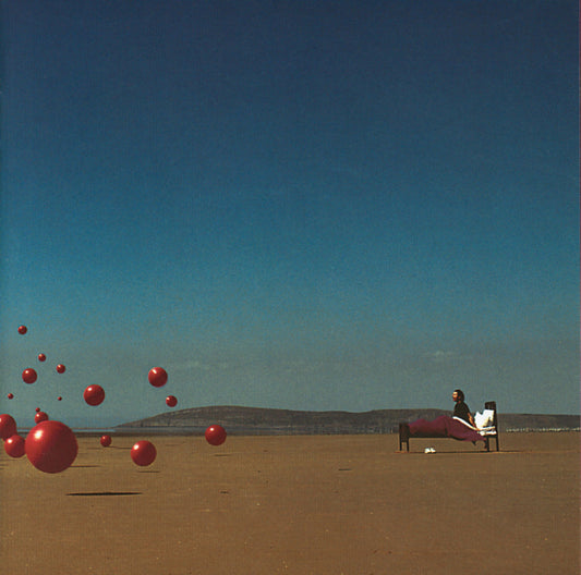 The Cranberries – Wake Up and Smell the Coffee. Cd. formato muerto