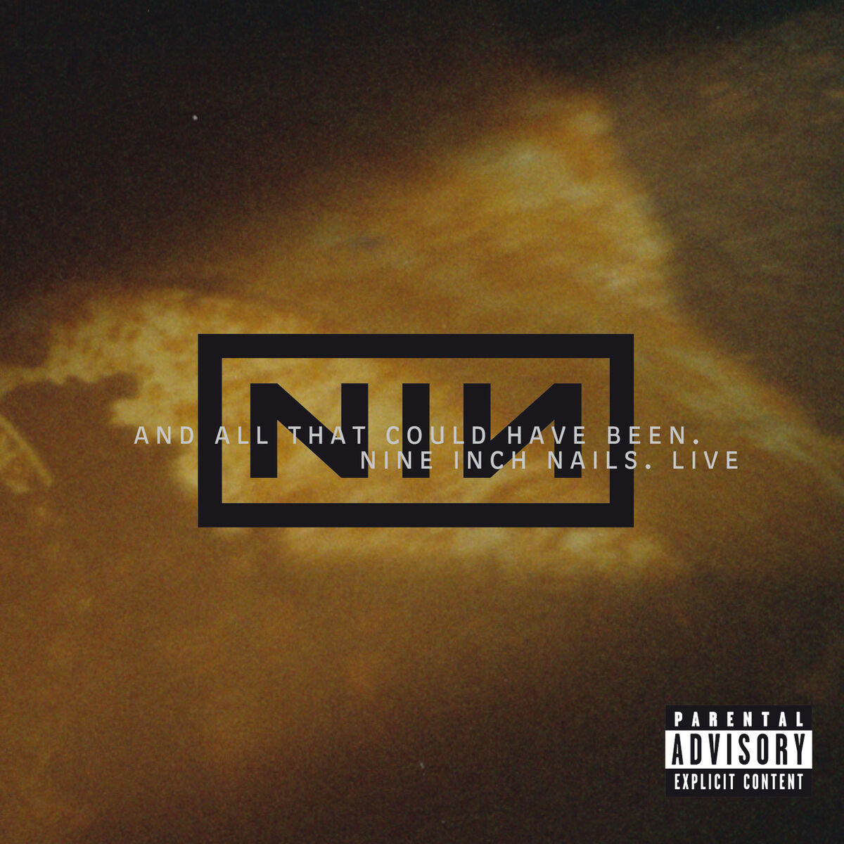 Nine Inch Nails – And All That Could Have Been. Cd.