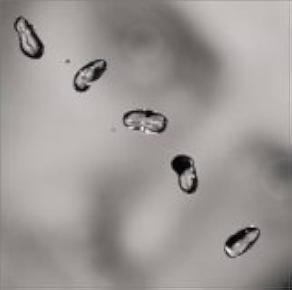 Peter Gabriel. Up — CD nacional en buen estado 💿 tienda de discso en méxico formato muerto