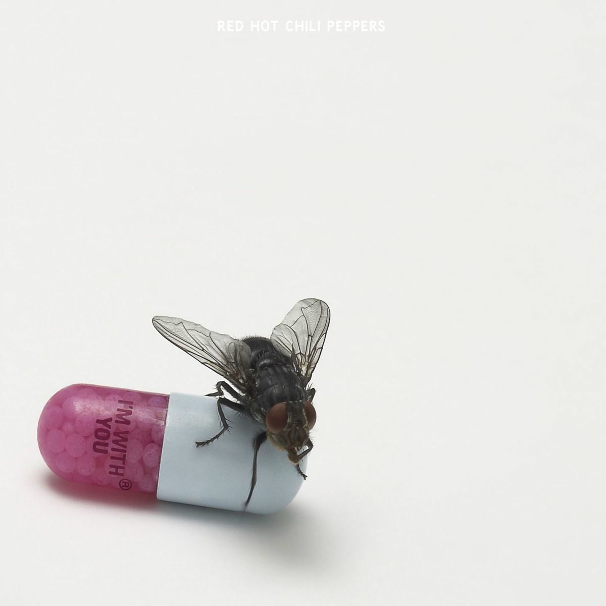 Red Hot Chili Peppers – I'm with You. Cd.