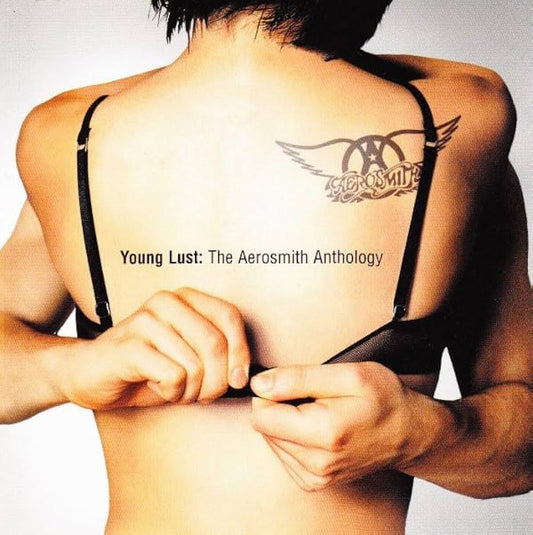 Young Lust: The Aerosmith Anthology [2CD excelente estado]. Aerosmith. formato muerto