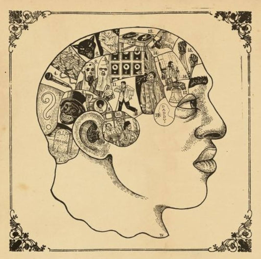 The Roots. Phrenology. Cd importado.