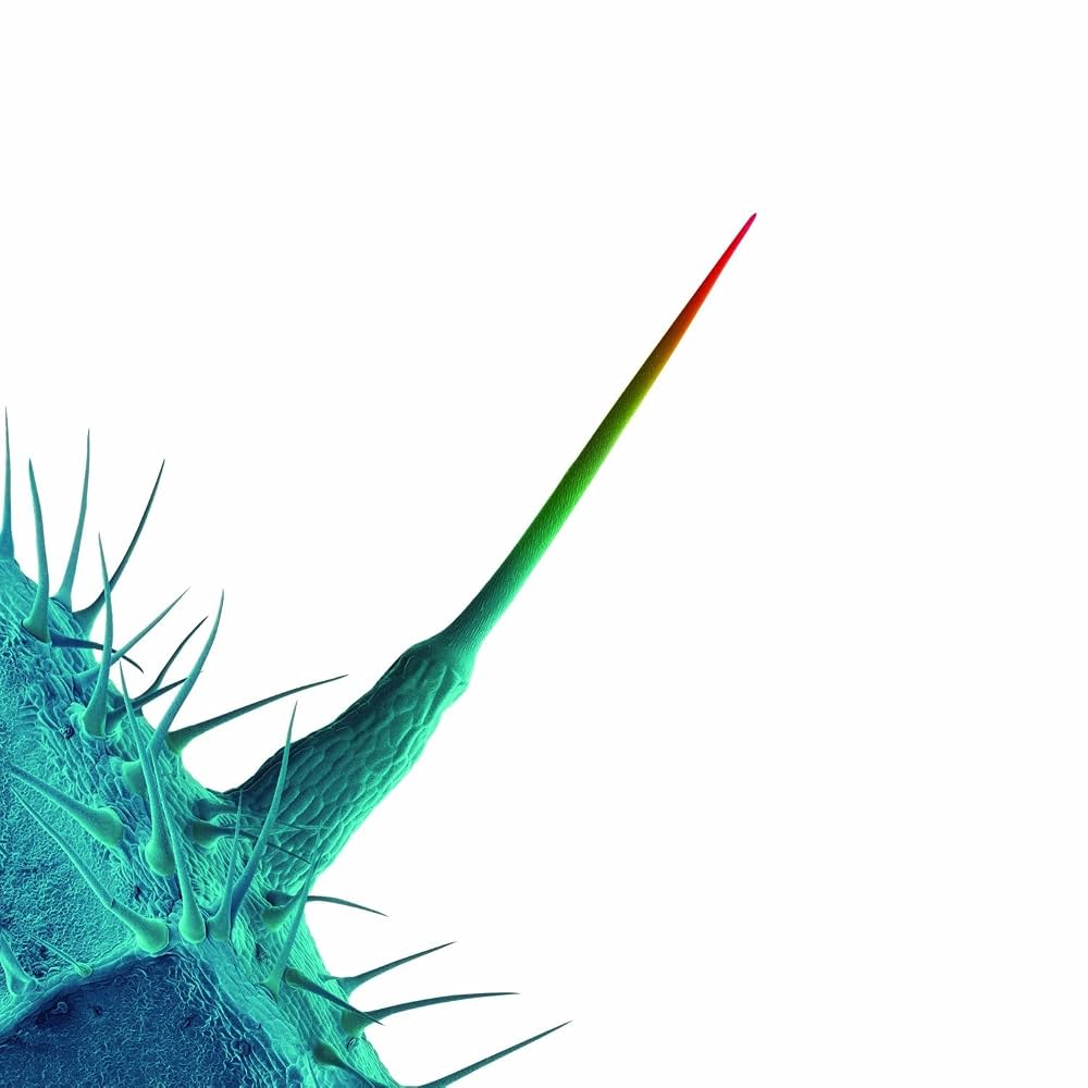 Peter Gabriel – And I'll Scratch Yours (CD en excelente estado).
