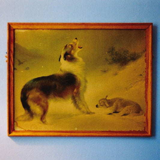 Explosions In The Sky – The Rescue (Vinilo Nuevo). tienda de discos en méxico formato muerto
