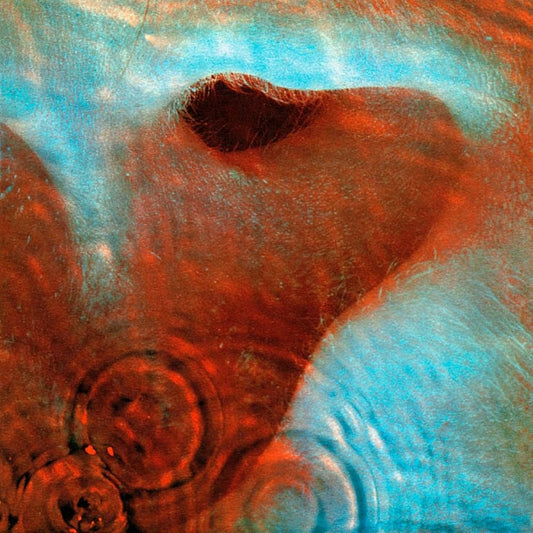 Pink Floyd – Meddle (CD México en buen estado). tienda de cds en méxico formato muerto