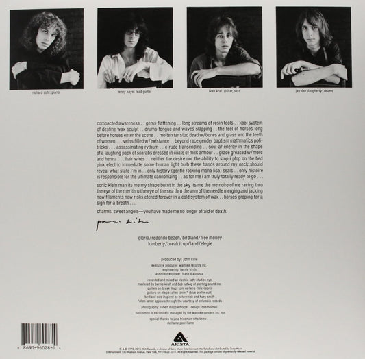 Patti Smith - Horses. Vinilo nuevo. tienda de discos en méxico formato muerto