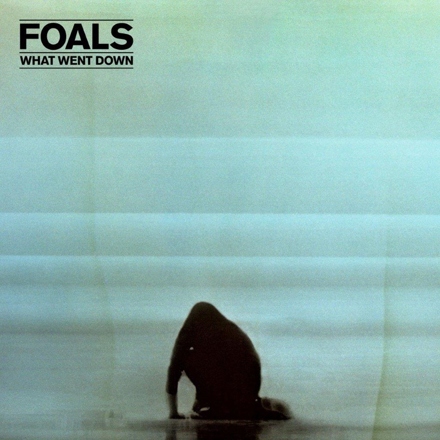 Foals – What Went Down (CD doble nuevo).