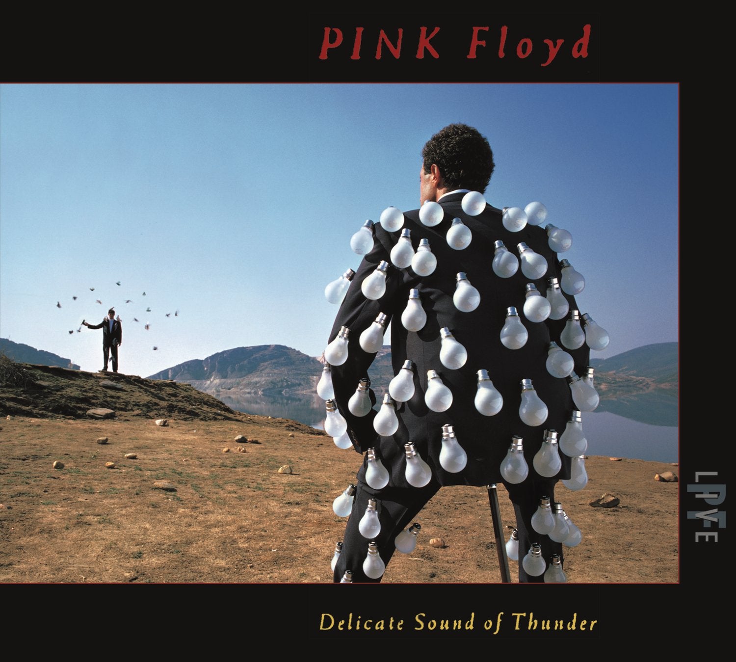 Pink Floyd – Delicate Sound Of Thunder. Cd doble importado. En buen estado. tienda de discos en méxico formato muerto