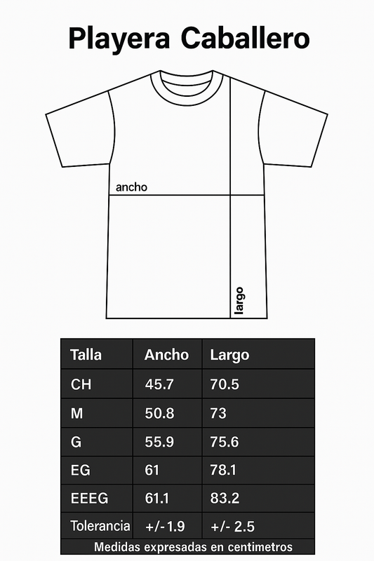 Soda Stereo. Canción Animal. Playera.