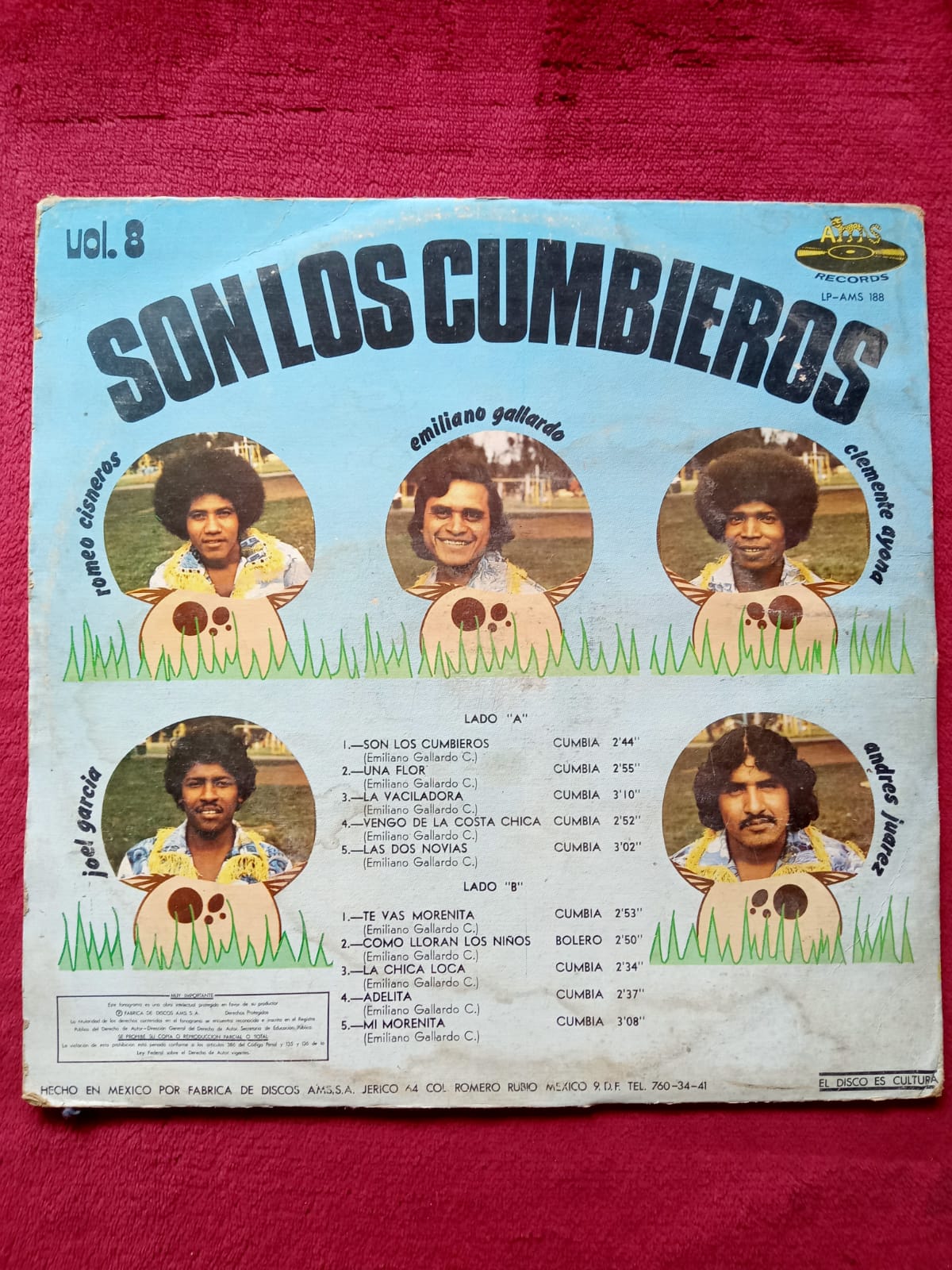 Los Cumbieros Del Sur – Cumbia Alucinantes Vol. 8. Vinilo en buen estado. formato muerto