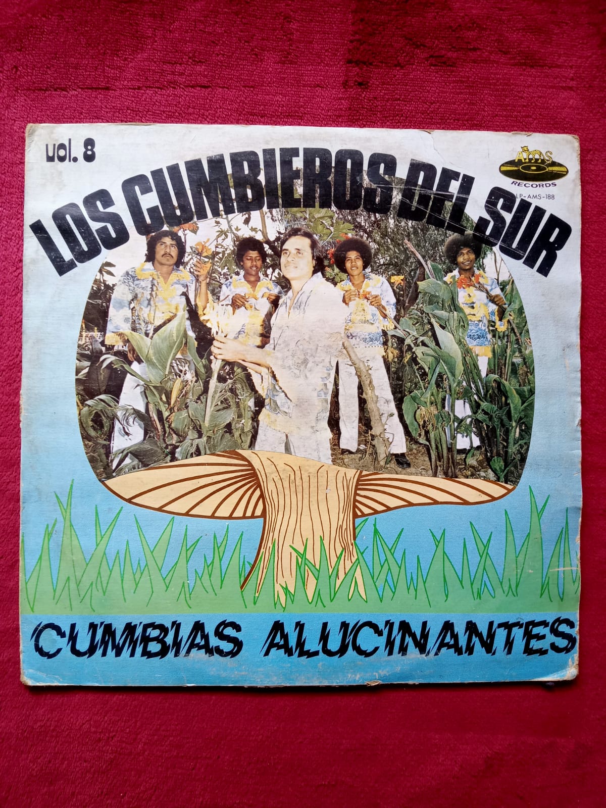 Los Cumbieros Del Sur – Cumbia Alucinantes Vol. 8. Vinilo en buen estado. formato muerto