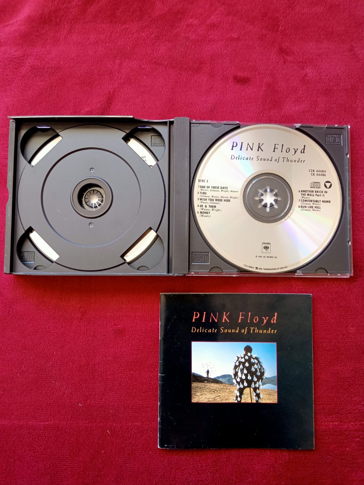 Pink Floyd – Delicate Sound Of Thunder. Cd doble importado. En buen estado. formato muerto