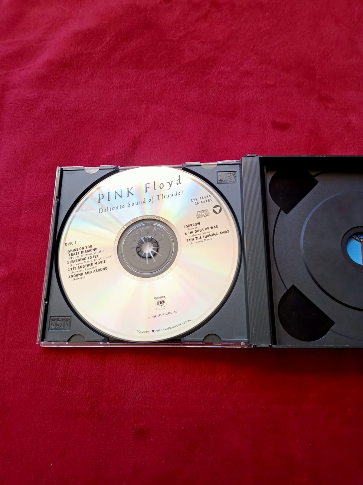 Pink Floyd – Delicate Sound Of Thunder. Cd doble importado. En buen estado. formato muerto