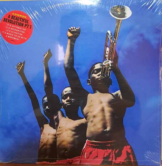 Common – A Beautiful Revolution Pt. 1 [Vinilo LP]. Nuevo. formato muerto