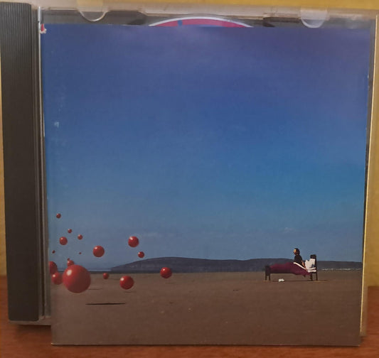 The Cranberries – Wake Up and Smell the Coffee. Cd. formato muerto