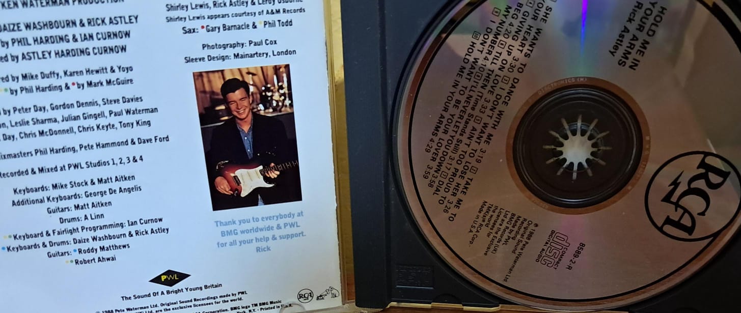 Hold Me in Your Arms. Rick Astley. Cd en buen estado. formato muerto