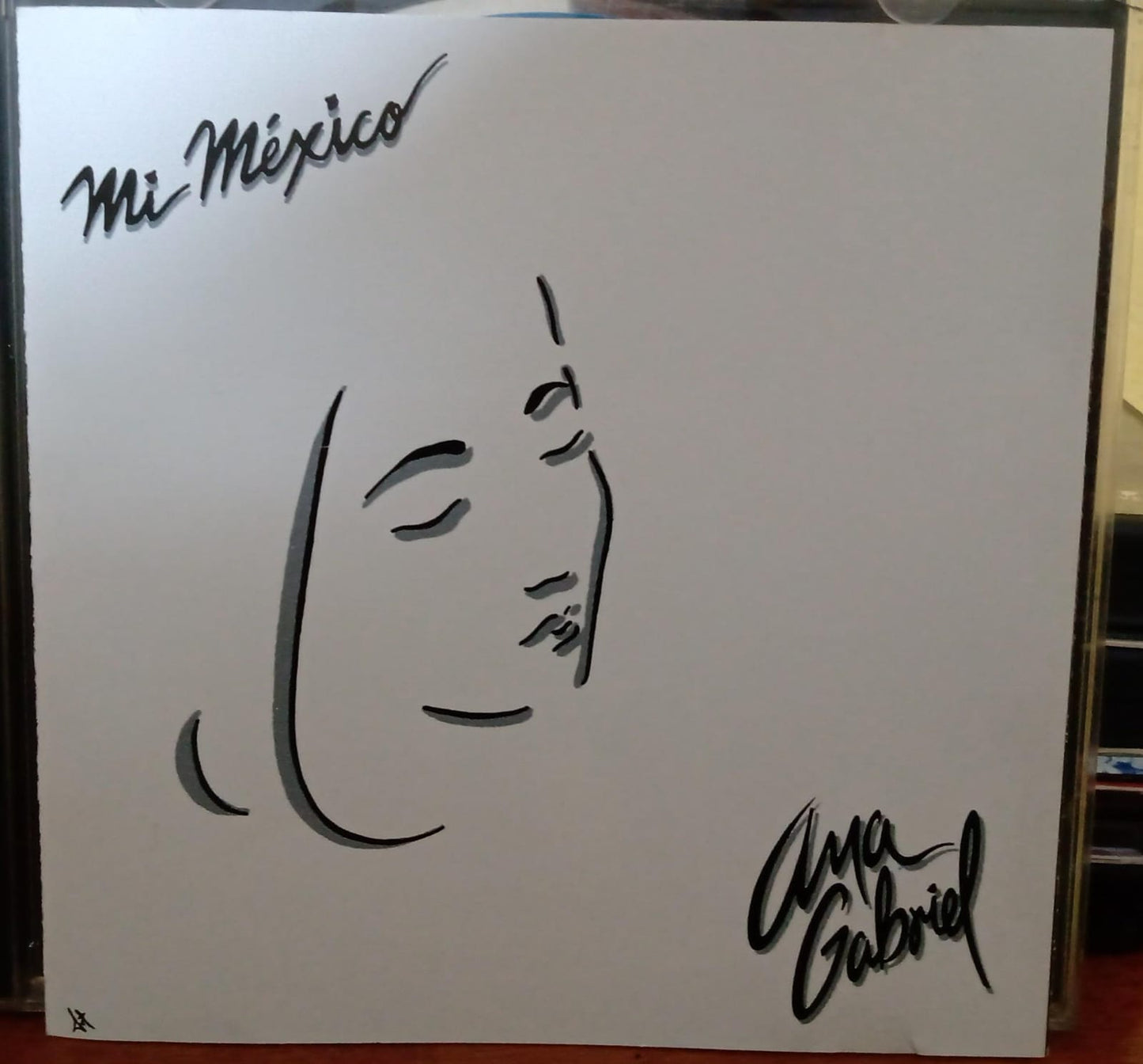 Ana Gabriel. Mi México. Cd en buen estado. tienda de discos en méxico formato muerto