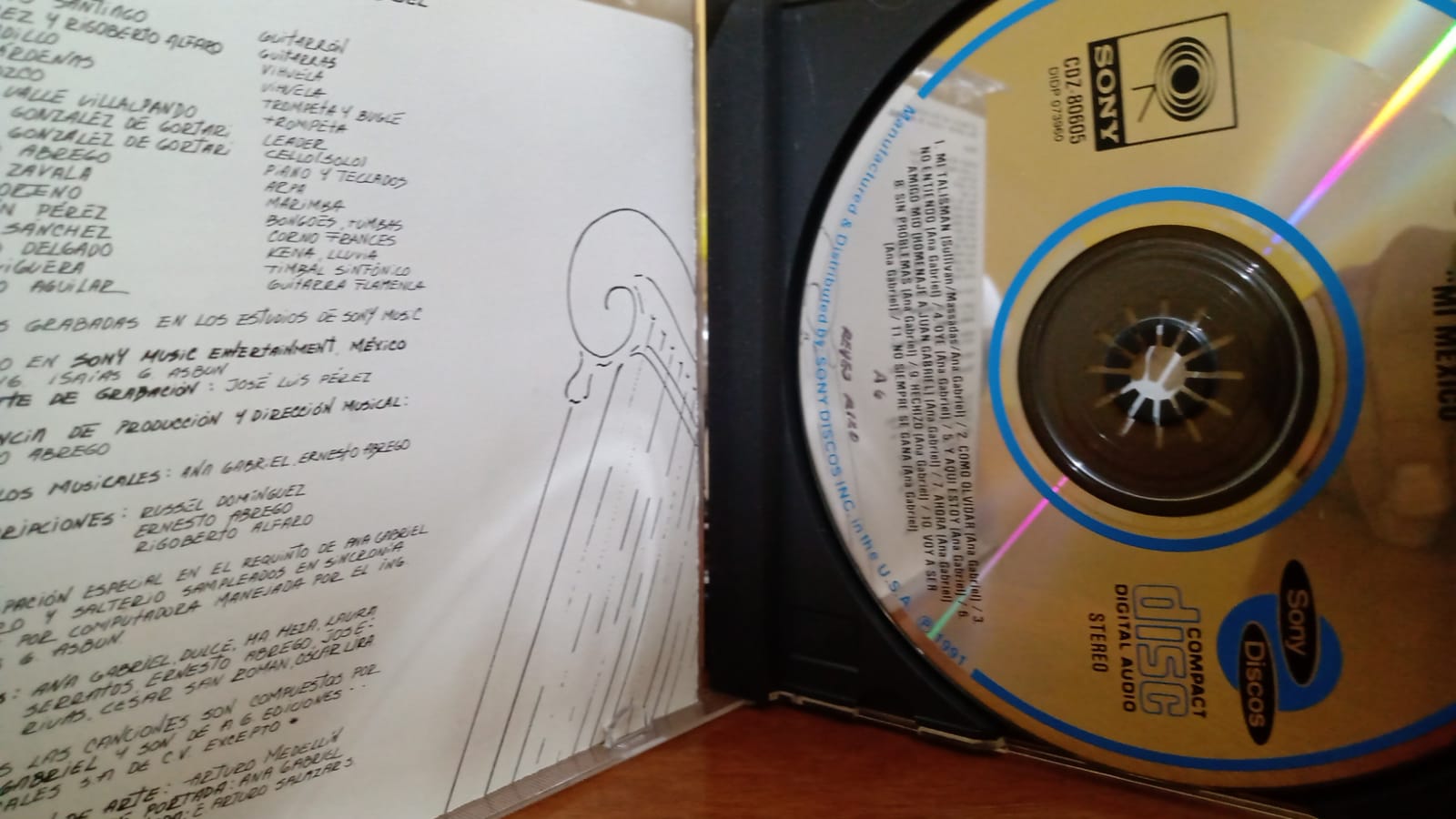 Ana Gabriel. Mi México. Cd en buen estado. tienda de discos en méxico formato muerto