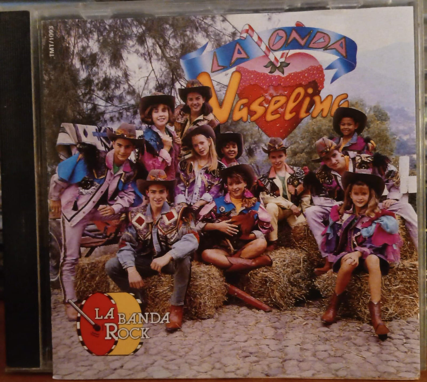 La Onda Vaselina – La Banda Rock. Cd en buen estado. tienda de discos en méxico formato muerto