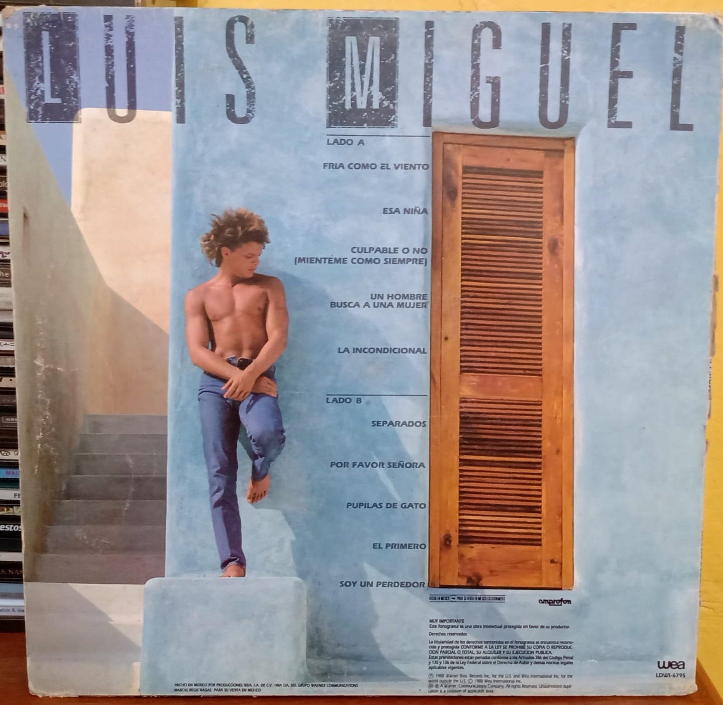Luis Miguel. Busca una mujer. Vinilo nacional 1ra ed. en buen estado. tienda de discos en méxico formato muerto
