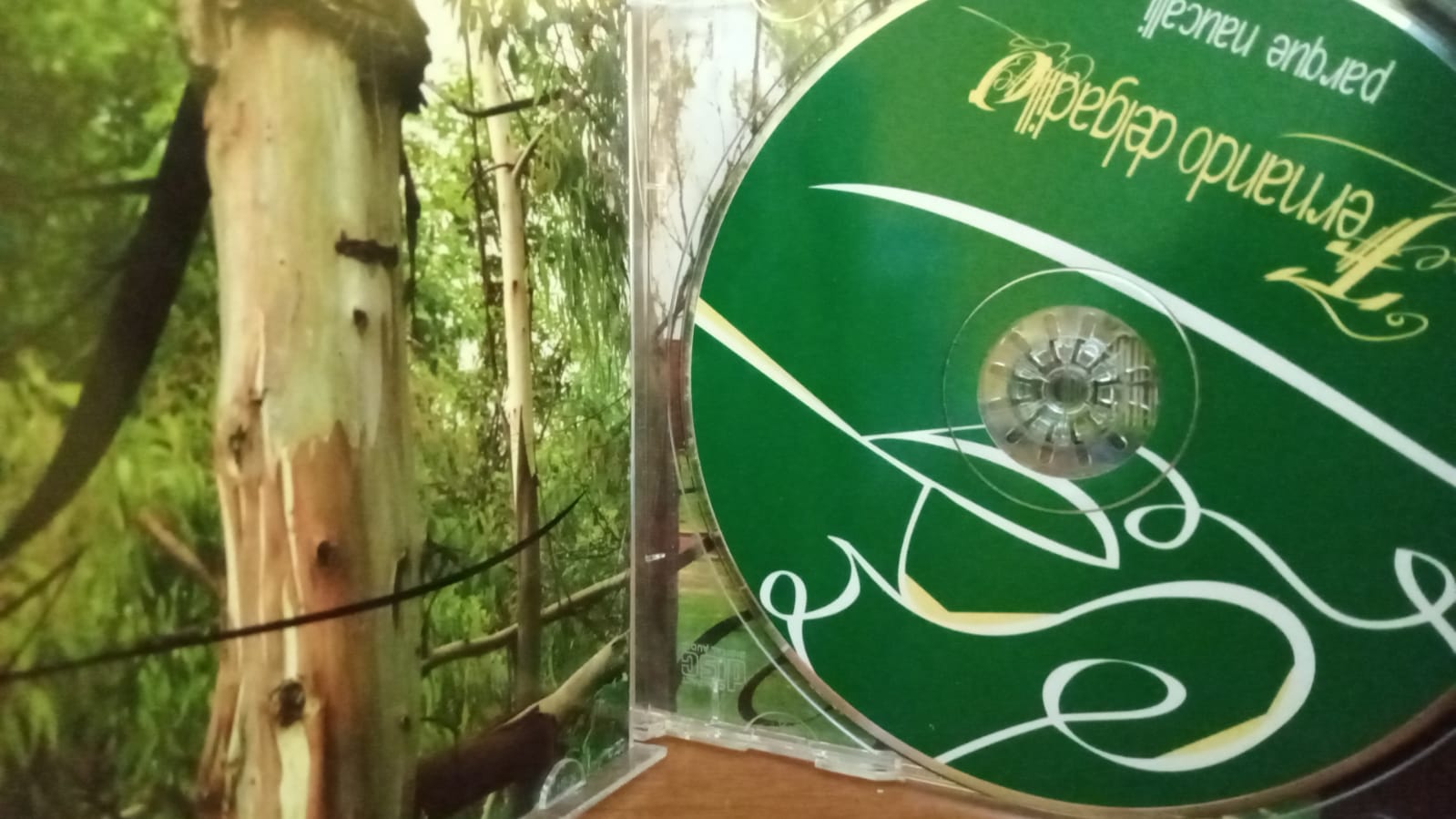 Fernando Delgadillo – Parque Naucalli. Cd en buen estado. tienda de discos en méxico formato muerto