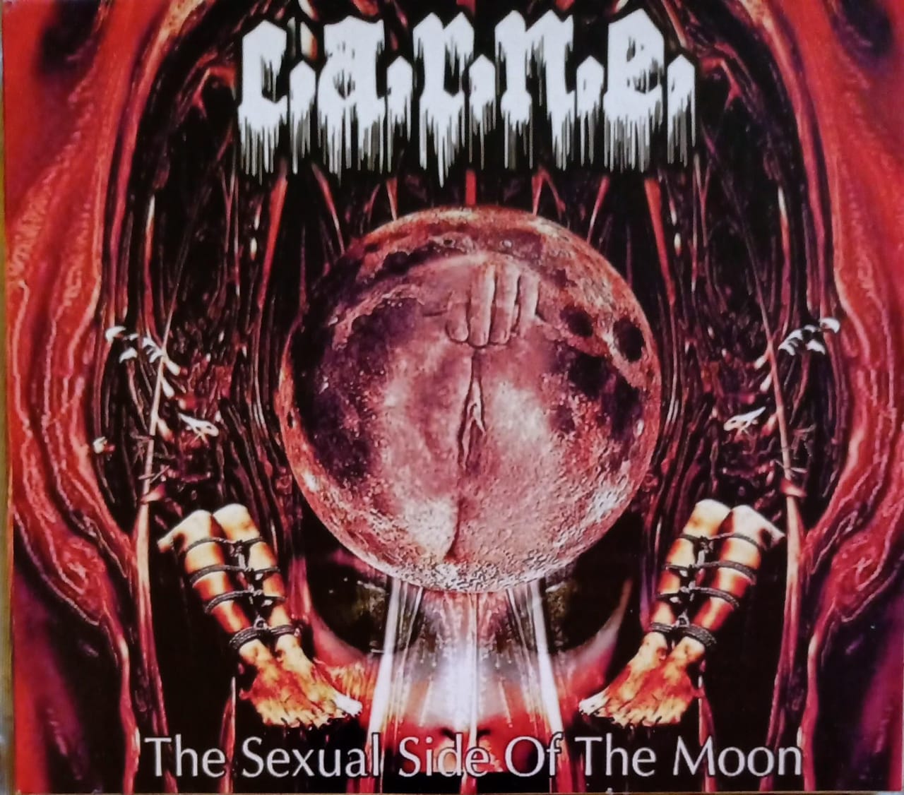 C.A.R.N.E. – The Sexual Side Of The Moon. Cd excelente estado. tienda de discos en méxico formato muerto