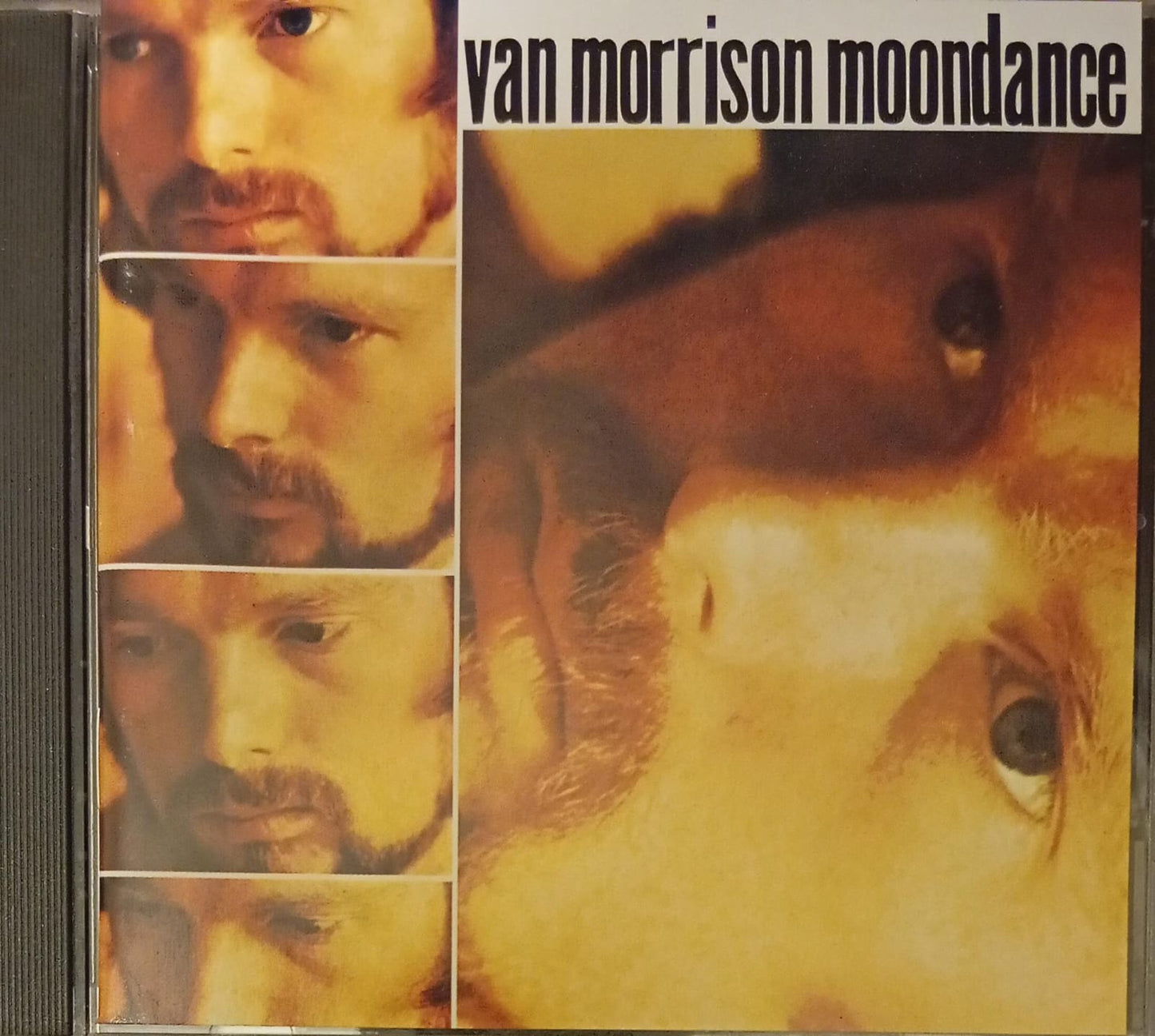 Van Morrison – Moondance (CD importado) tienda de discos en méxico formato muerto
