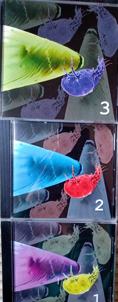 Varios – Industrial Hazard. Cd triple en buen estado.