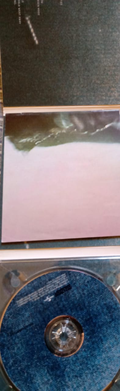 Nine Inch Nails – And All That Could Have Been. Cd.