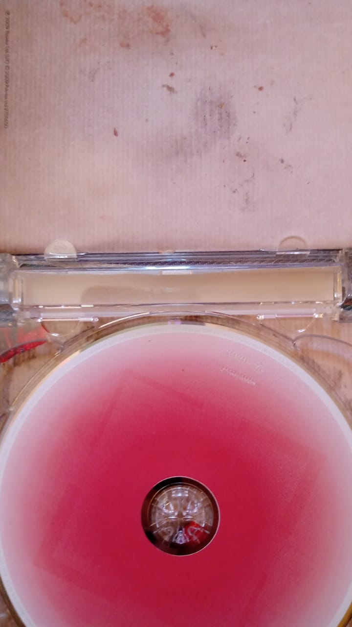 Yeah Yeah Yeahs – It's Blitz! (CD en excelente estado).