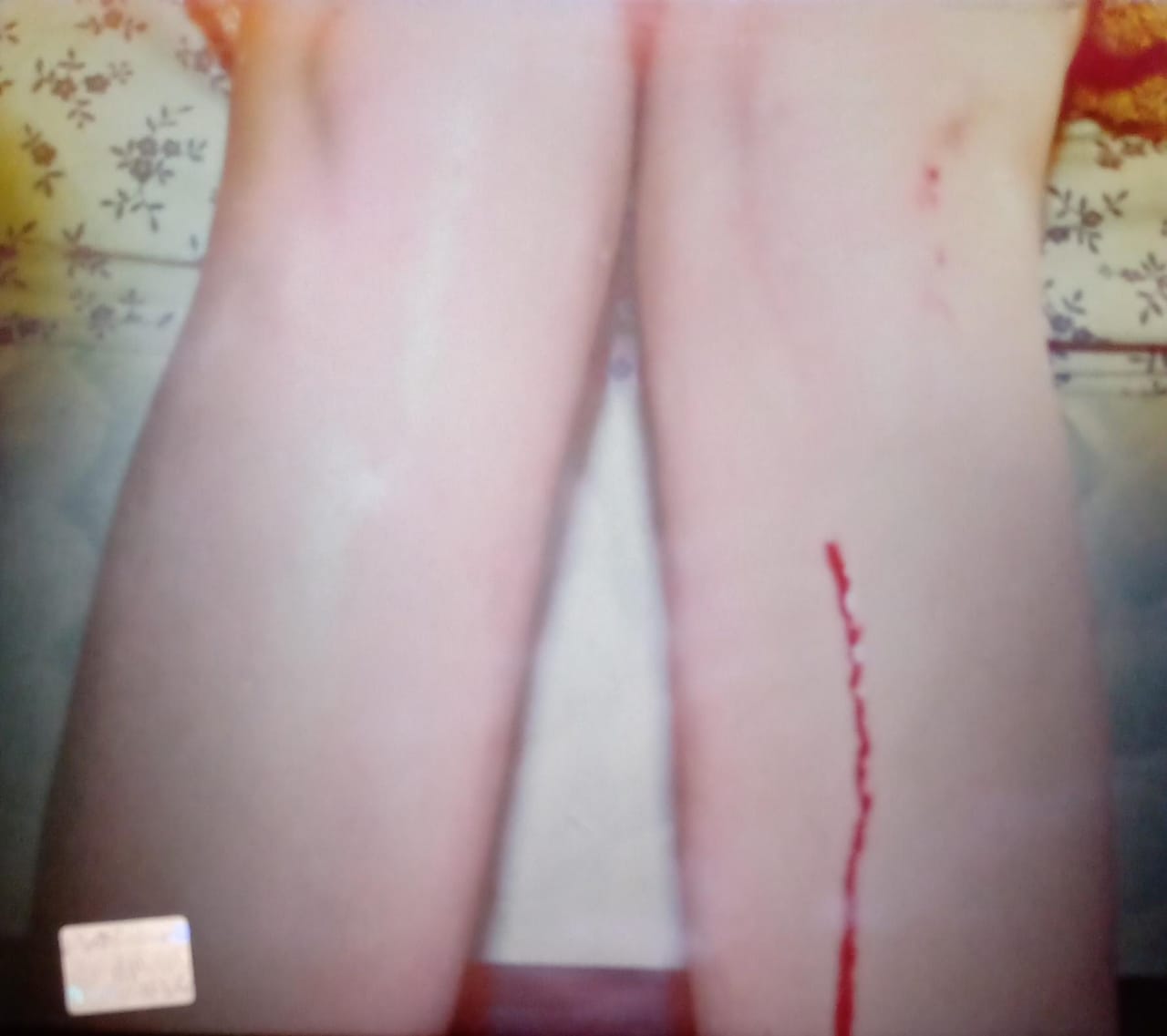 Los Campesinos! – Romance Is Boring (CD).