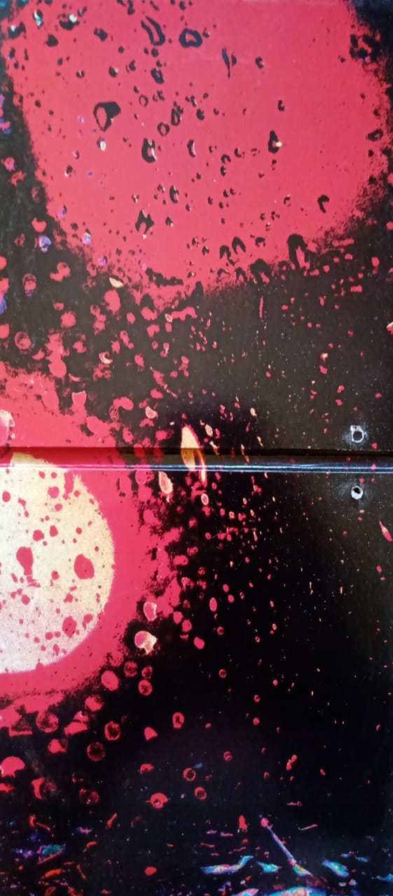 Bear's Den – Red Earth & Pouring Rain. CD excelente estado.