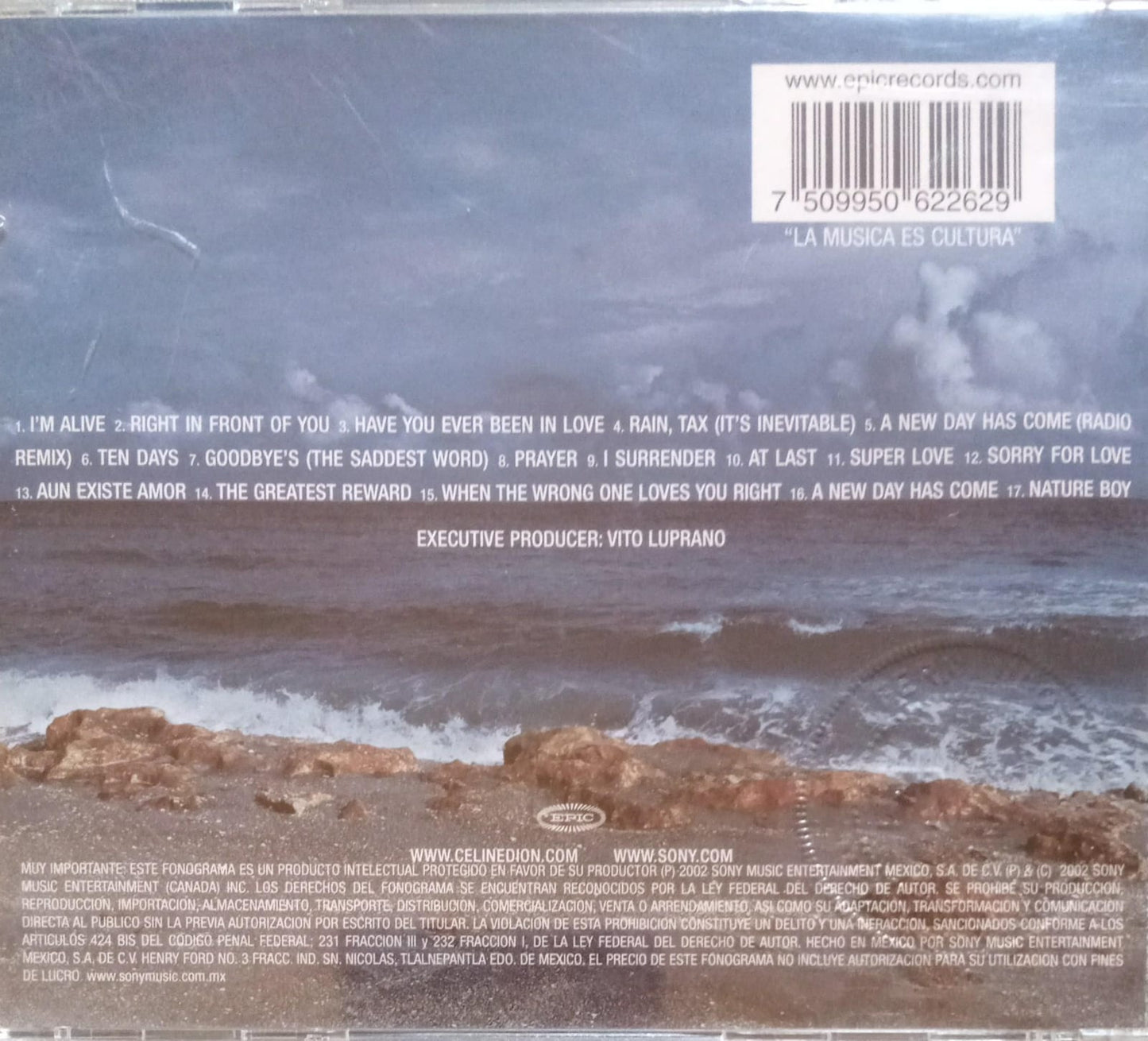 Celine Dion – A New Day Has Come. Cd buen estado.